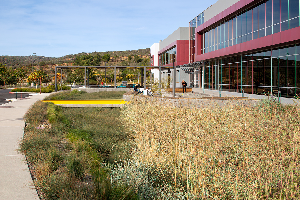 grassy landscape with building facade